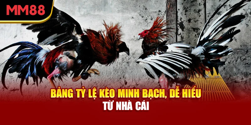 bang-ty-le-keo-minh-bach-de-hieu-tu-nha-cai