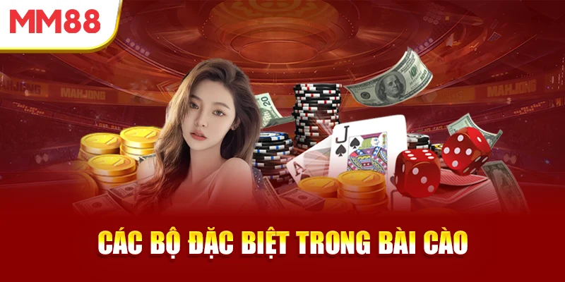 cac-bo-dac-biet-trong-bai-cao