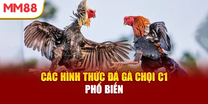 cac-hinh-thuc-da-ga-choi-c1-pho-bien