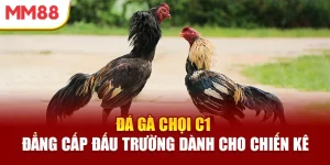 da-ga-choi-c1