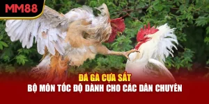 da-ga-cua-sat