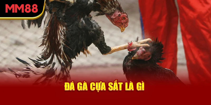 da-ga-cua-sat-la-gi