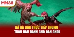 da-ga-don-truc-tiep-thomo