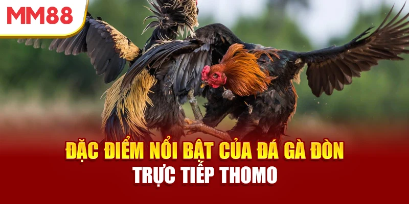 dac-diem-noi-bat-cua-da-ga-don-truc-tiep-thomo