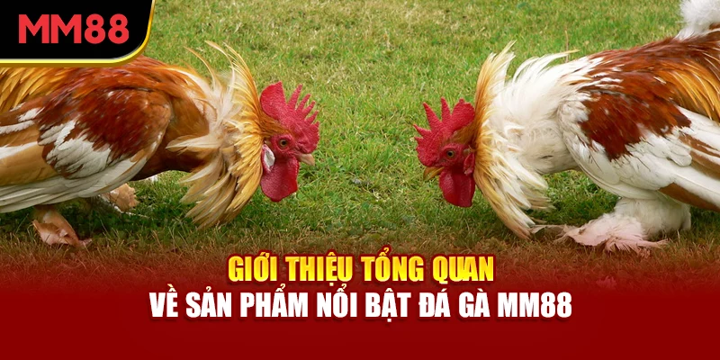 gioi-thieu-tong-quan-ve-san-pham-noi-bat-da-ga-mm88