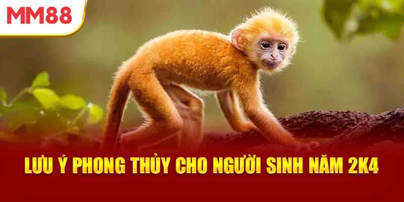 luu-y-phong-thuy-cho-nguoi-sinh-nam-2k4