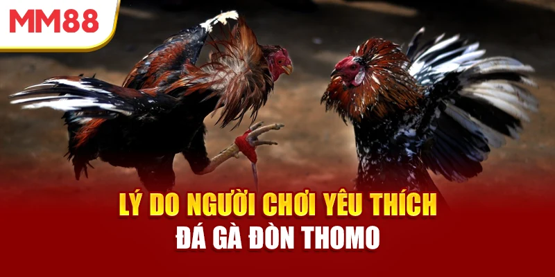 ly-do-nguoi-choi-yeu-thich-da-ga-don-thomo