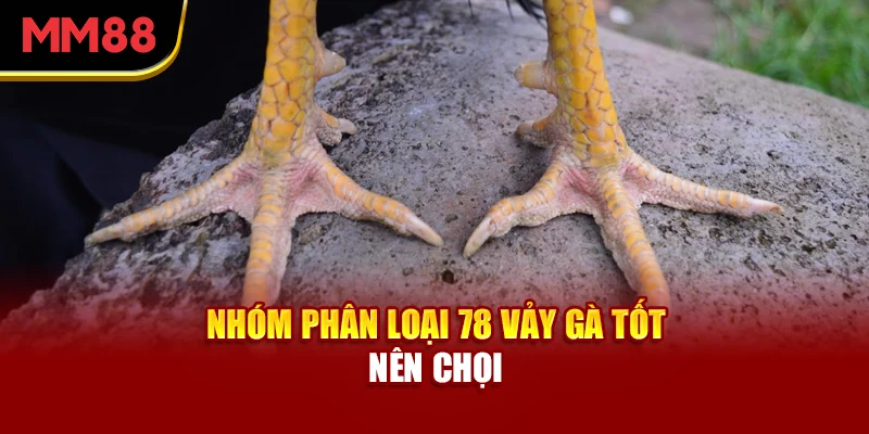 nhom-phan-loai-78-vay-ga-tot-nen-choi