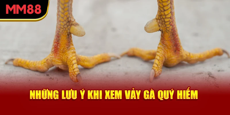 nhung-luu-y-khi-xem-vay-ga-quy-hiem