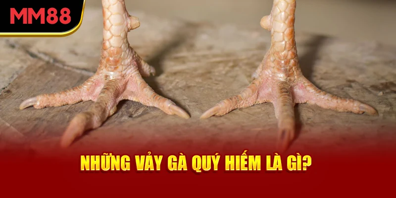 nhung-vay-ga-quy-hiem-la-gi-