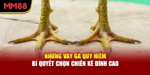 nhung-vay-ga-quy-hiem