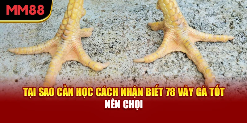 tai-sao-can-hoc-cach-nhan-biet-78-vay-ga-tot-nen-choi